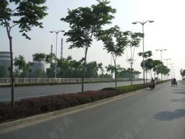 启良驾校.