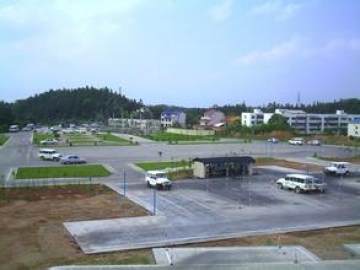 大学驾校