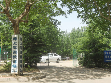 潍大驾校