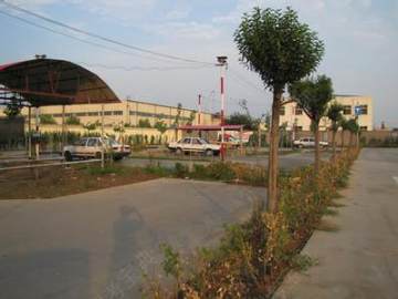 迅驰驾校