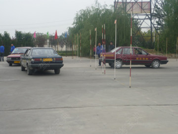 新区驾校