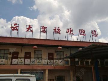 云大驾校