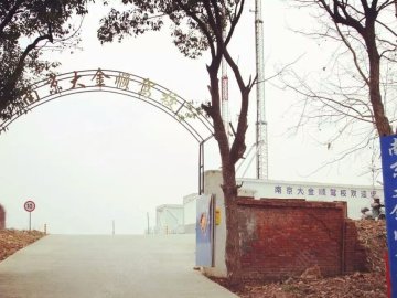 大金顺驾校
