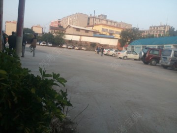 师院驾校