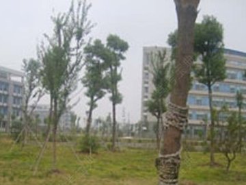 工学院驾校
