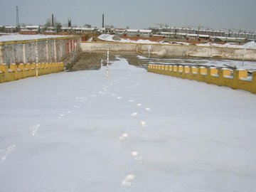 中天驾校