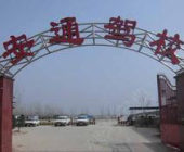 安通驾校