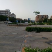乔璞