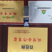 王佳巧