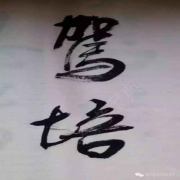 眸世东强