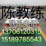 陈磊