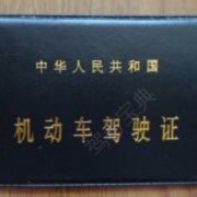 朱教练