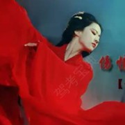 杨教练