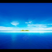 专职教练