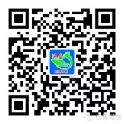 魏教练