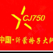 张东超
