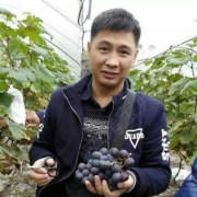 新明晖钟教