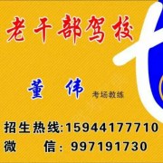 董伟