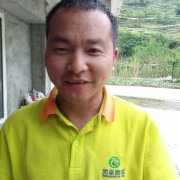 伍阳龙