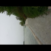 王教练