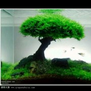 张现柱