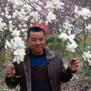 张立