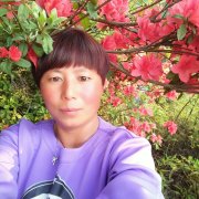 杨霞