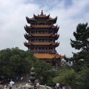 沈教练