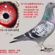 石强