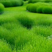 余教练