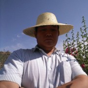 贺晓龙