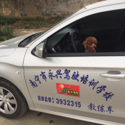 邓教练