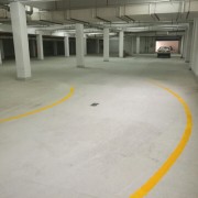 姜教练