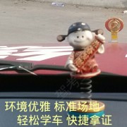 林教练