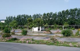 教学环境