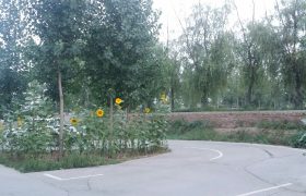 教学环境