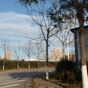 教学环境