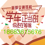 小马哥