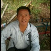 杨斌