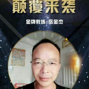 岳金杰