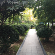 教学环境
