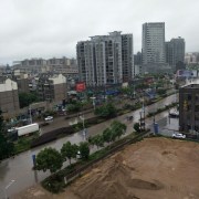 潘岳明