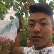 驾考包过杨