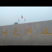 孙涛