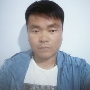 崔振
