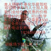 安正财
