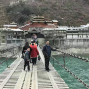 杨教练