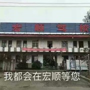 杨洋洋