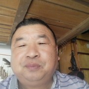 来林涛