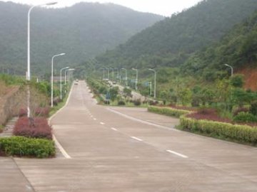 环岛驾校